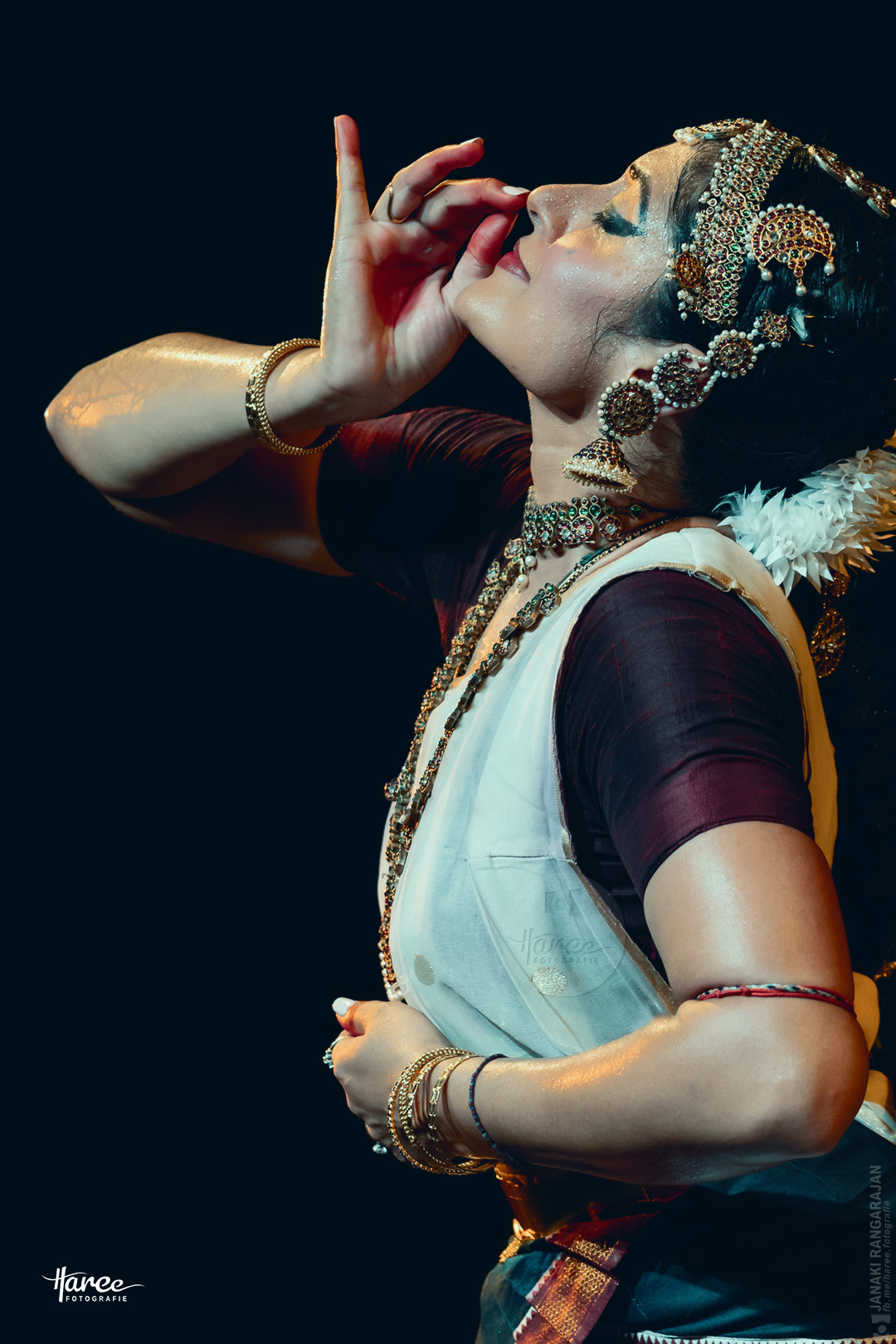 Bharatanatyam by Janaki Rangarajan