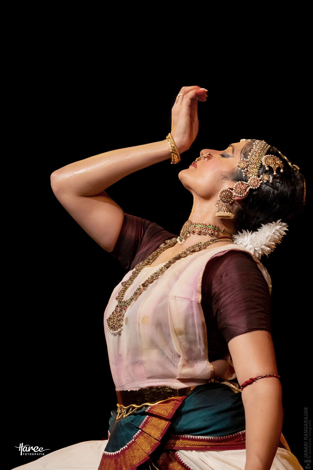 Bharatanatyam by Janaki Rangarajan